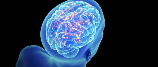 La Psiconeuroinmunología estudia cómo se comunican la mente, el sistema nervioso, el sistema endocrino y el sistema inmune.